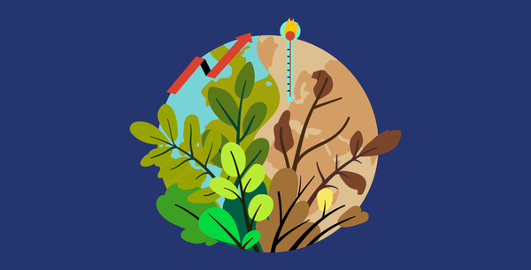 milieucriminaliteit-groot